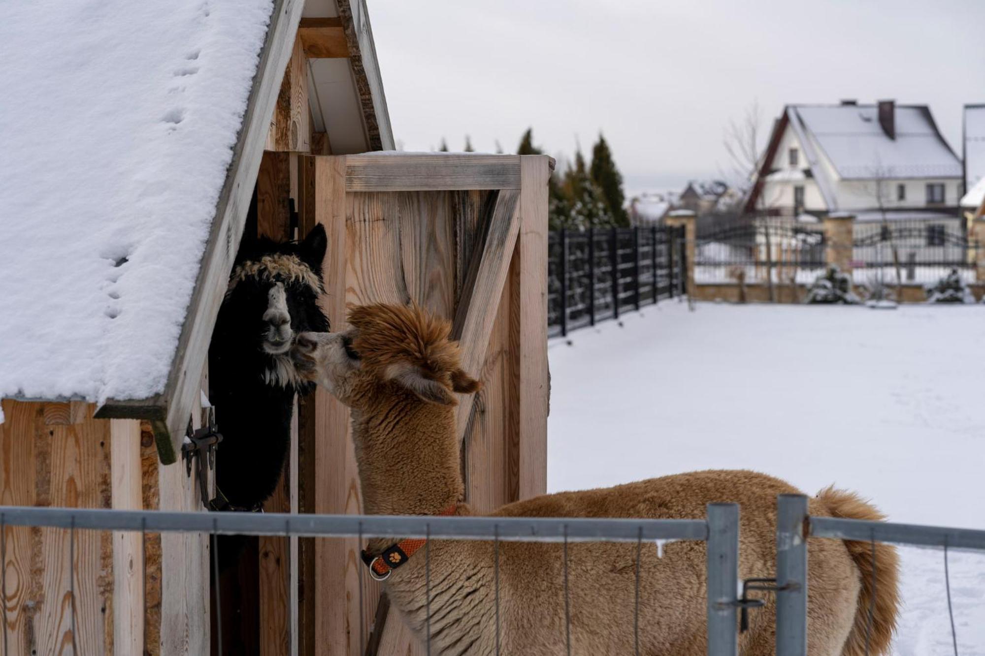 Caloroczne Domki Goralskie Kluszkowce-Czorsztyn ภายนอก รูปภาพ